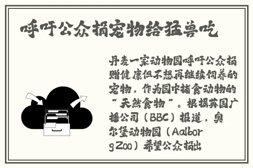 ysl蜜桃色国产